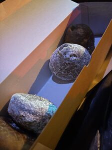 2026冬トレーニング日記～週末の動き～