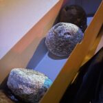 2026冬トレーニング日記～週末の動き～